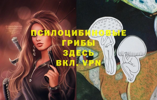 2c-b Алзамай