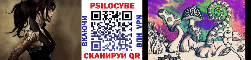 где продают   omg вход  Псилоцибиновые грибы прущие грибы  Дмитровск 